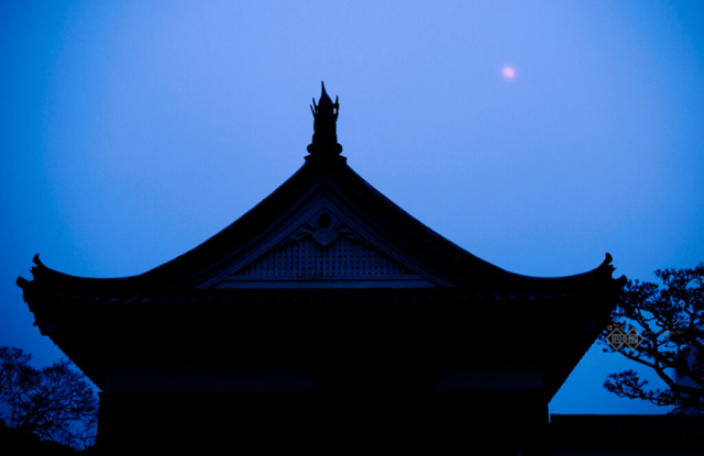 早朝に出発して四万十川沿いに高知に入るが、既に夕方。はじめてなので移動時間が予測できない。月夜に高知城を訪れた