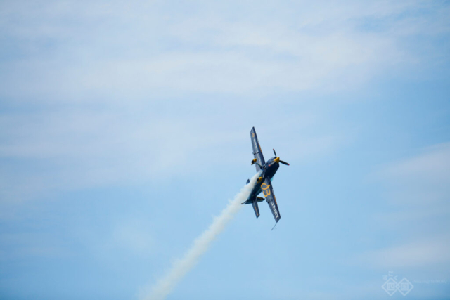 Air show_DSC8103