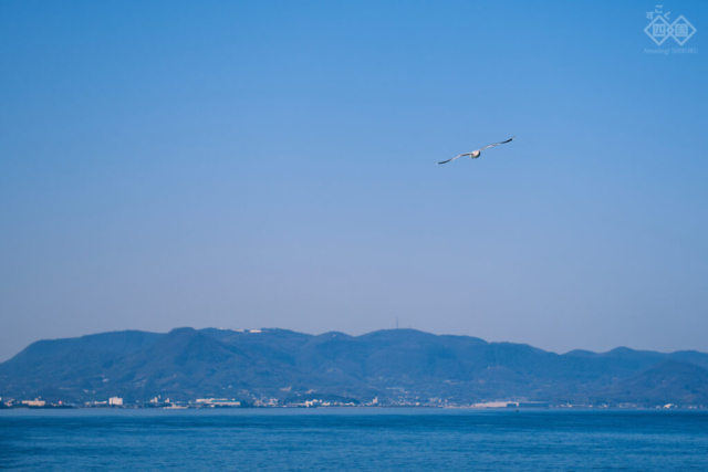 sd__DSC6053