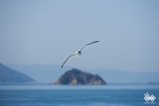 sd__DSC6139